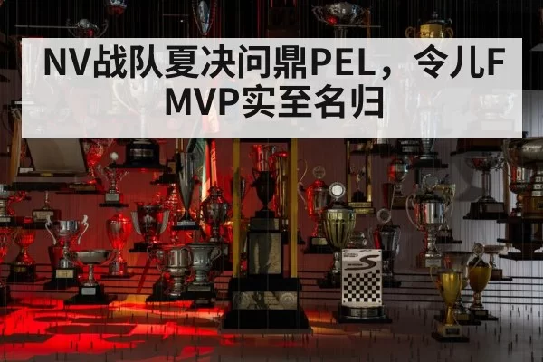 NV战队夏决问鼎PEL，令儿FMVP实至名归